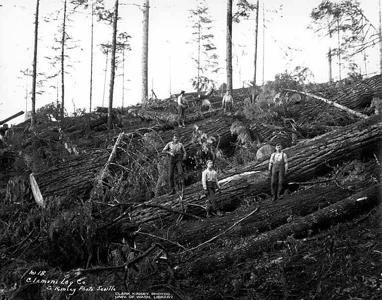 Logging Camp
