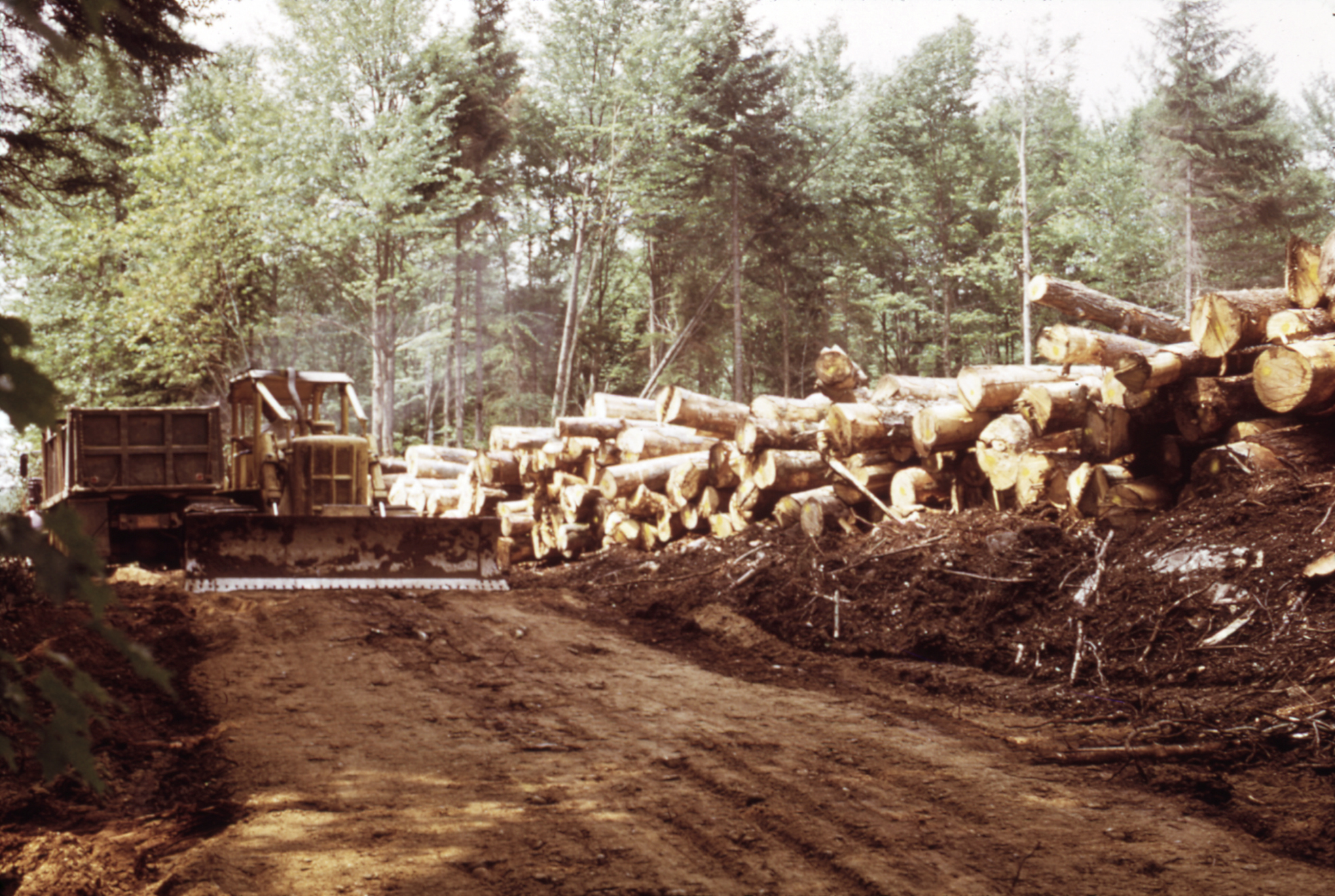 Logging Camp