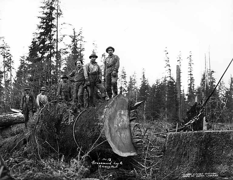 Logging Camp