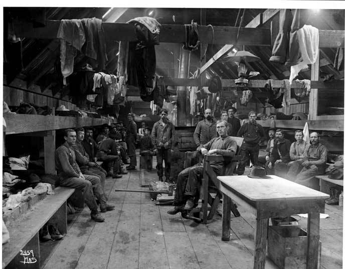 Logging Camp