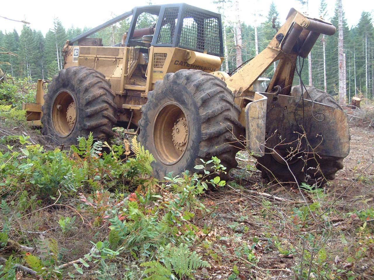 Logging Camp