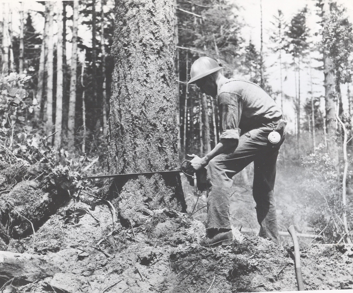 Logging Camp