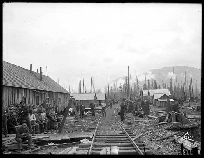 Logging Camp