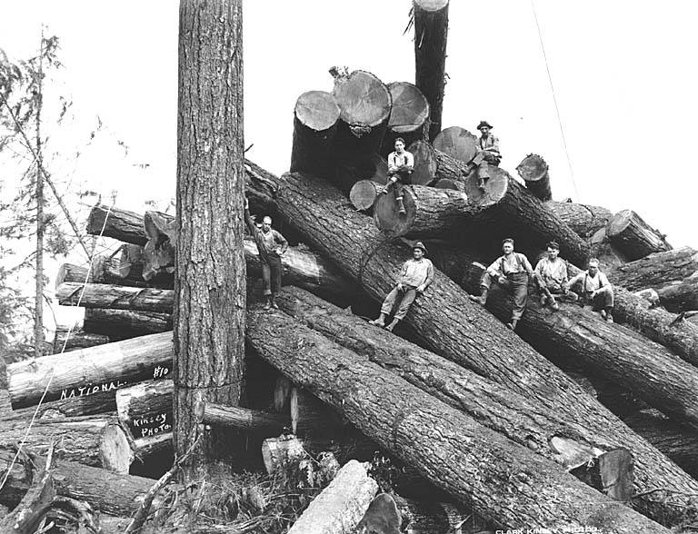 Logging Camp