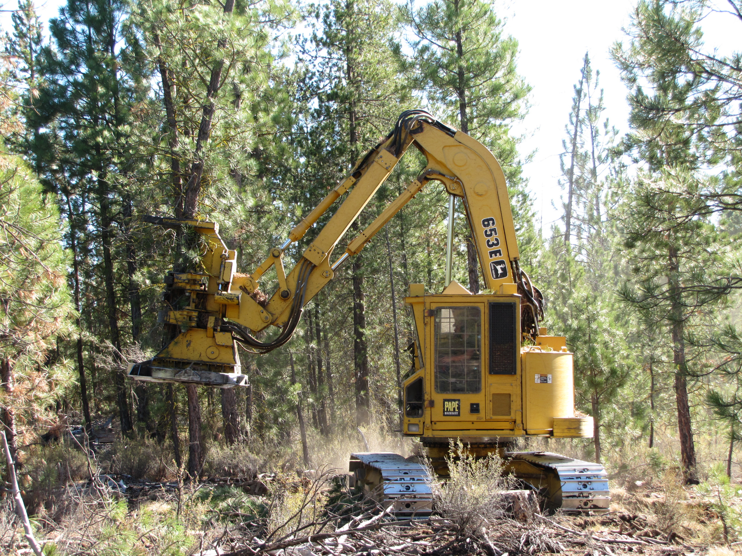 Logging Camp