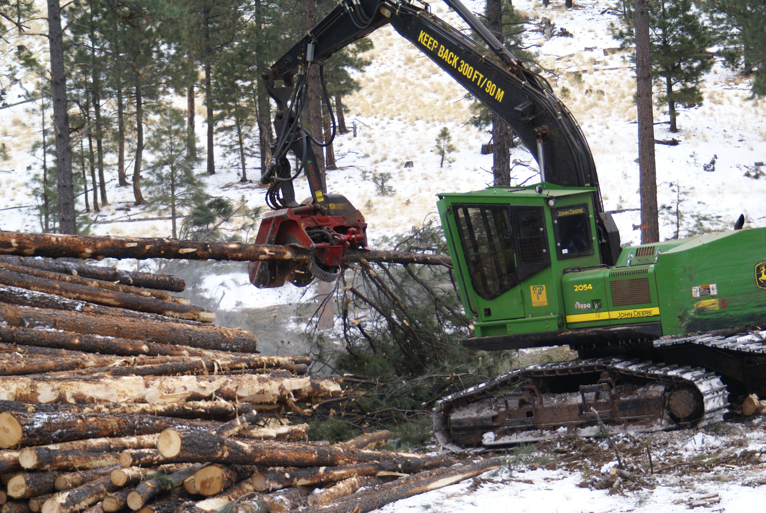 Logging Camp