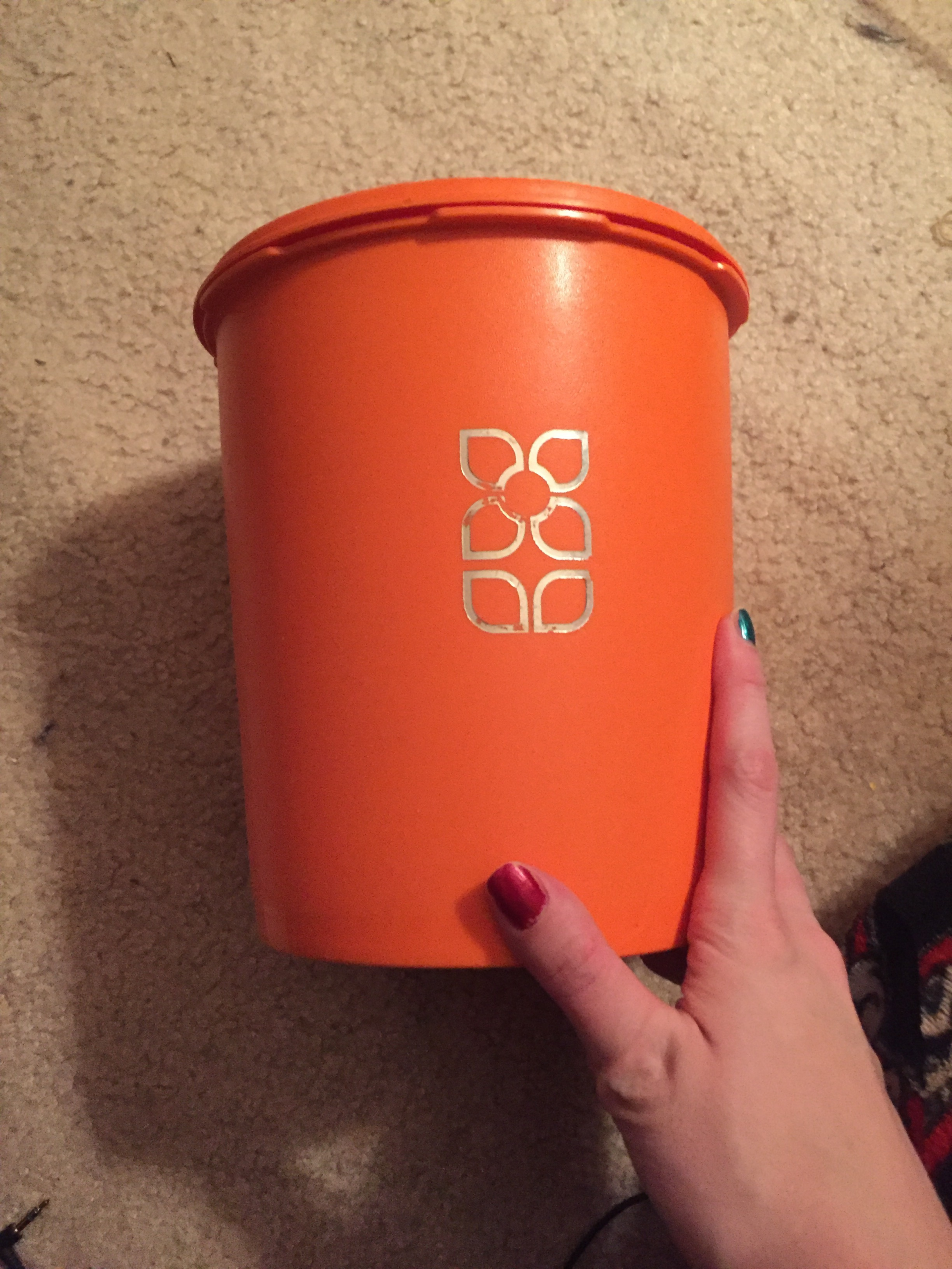 Tupperware Party