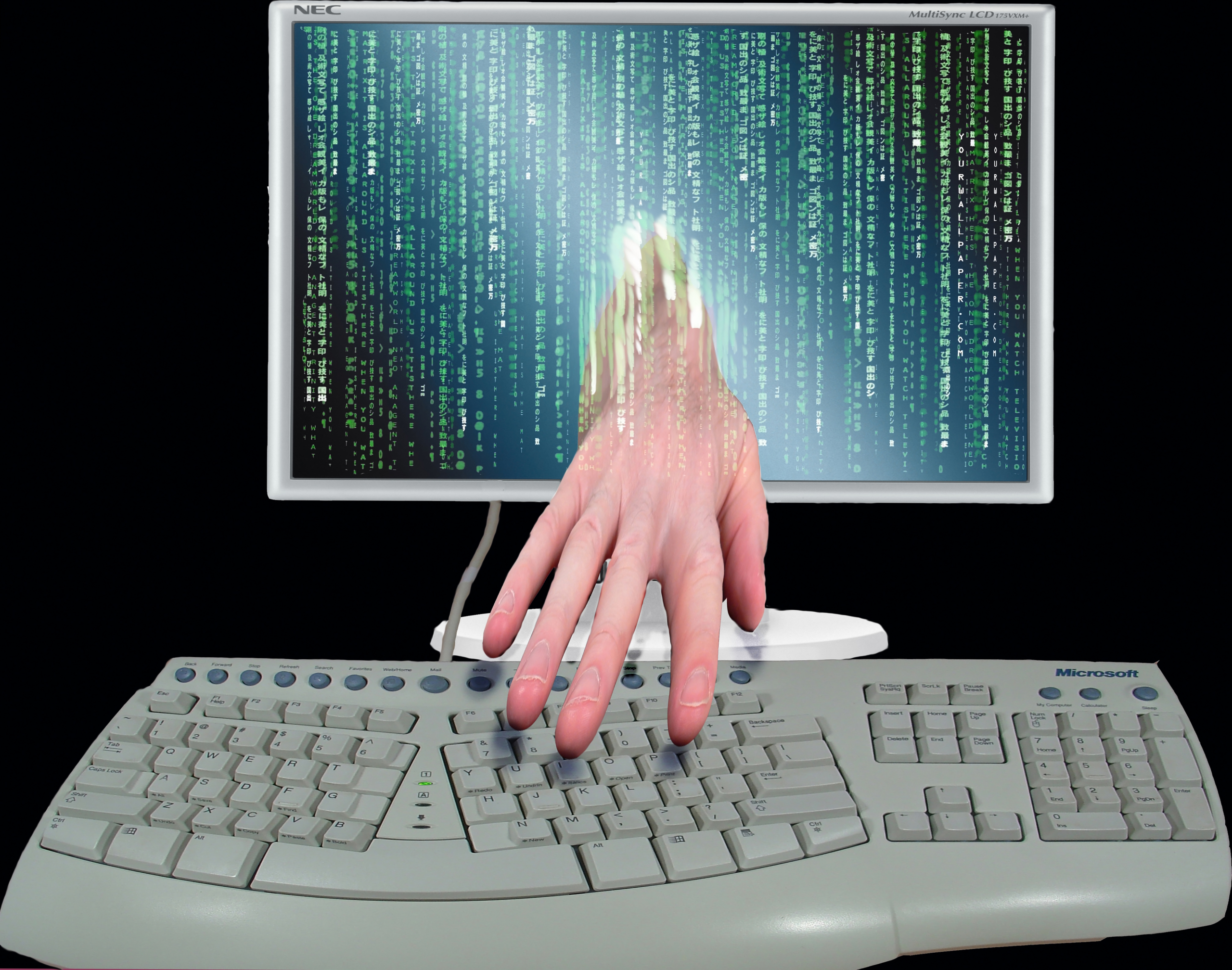 Hacker