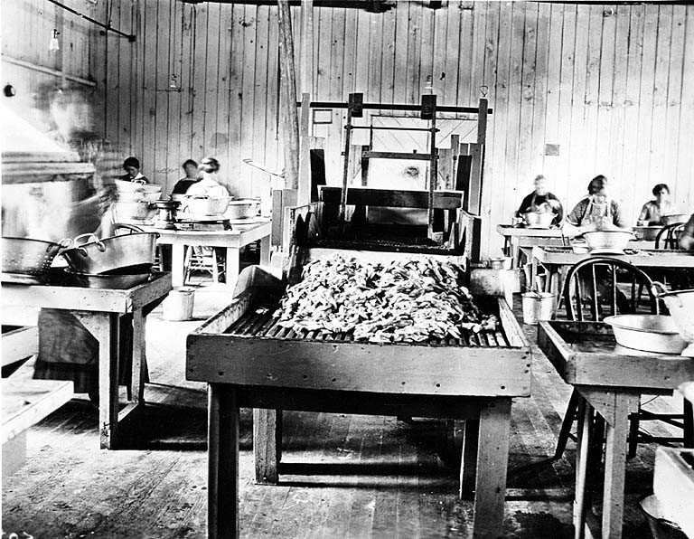 Cannery