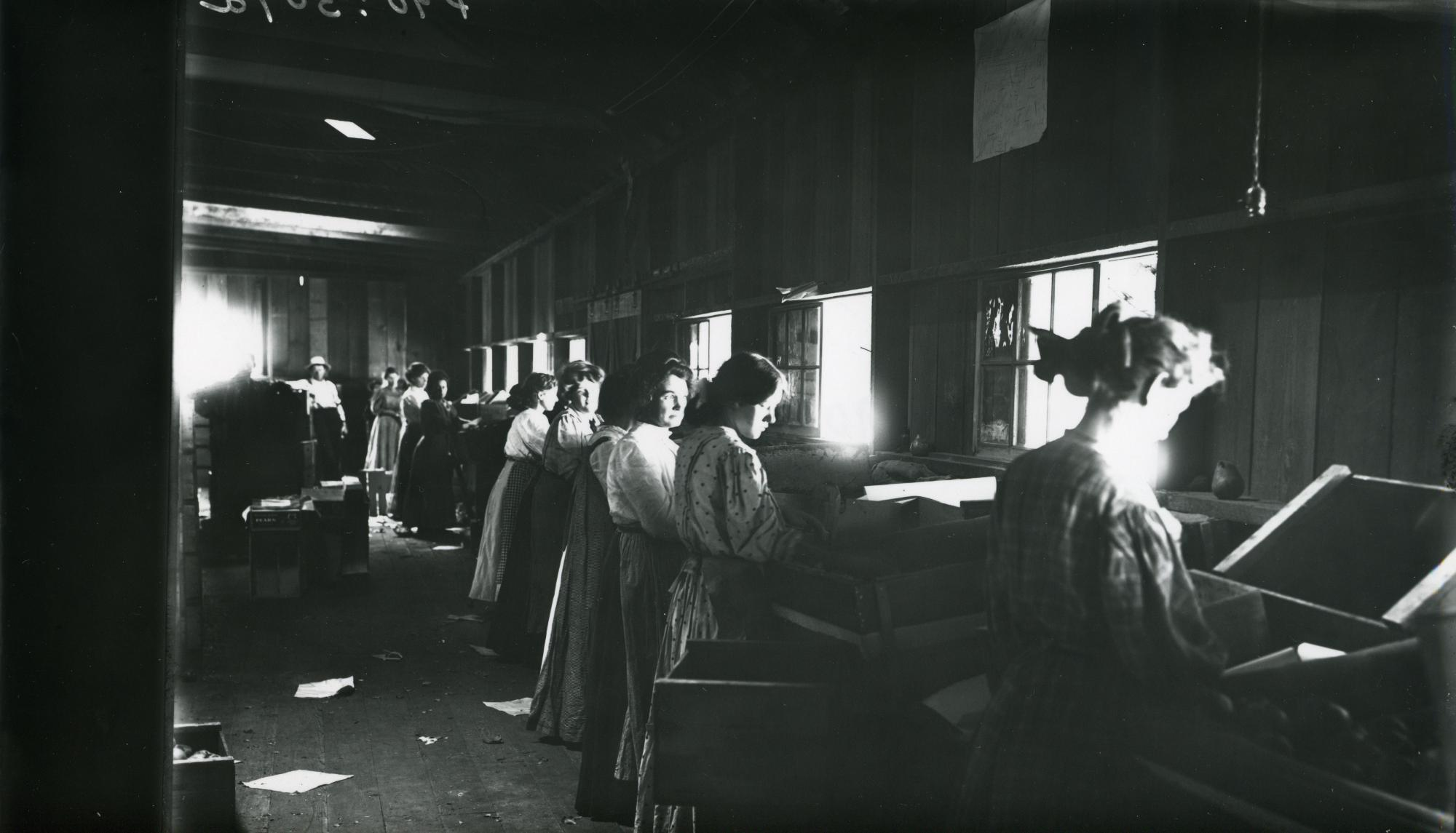 Cannery
