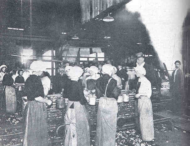 Cannery