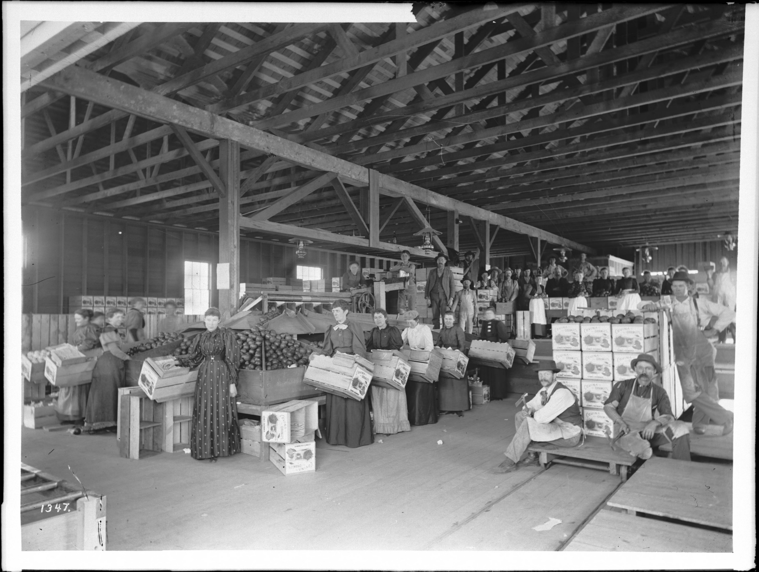 Cannery