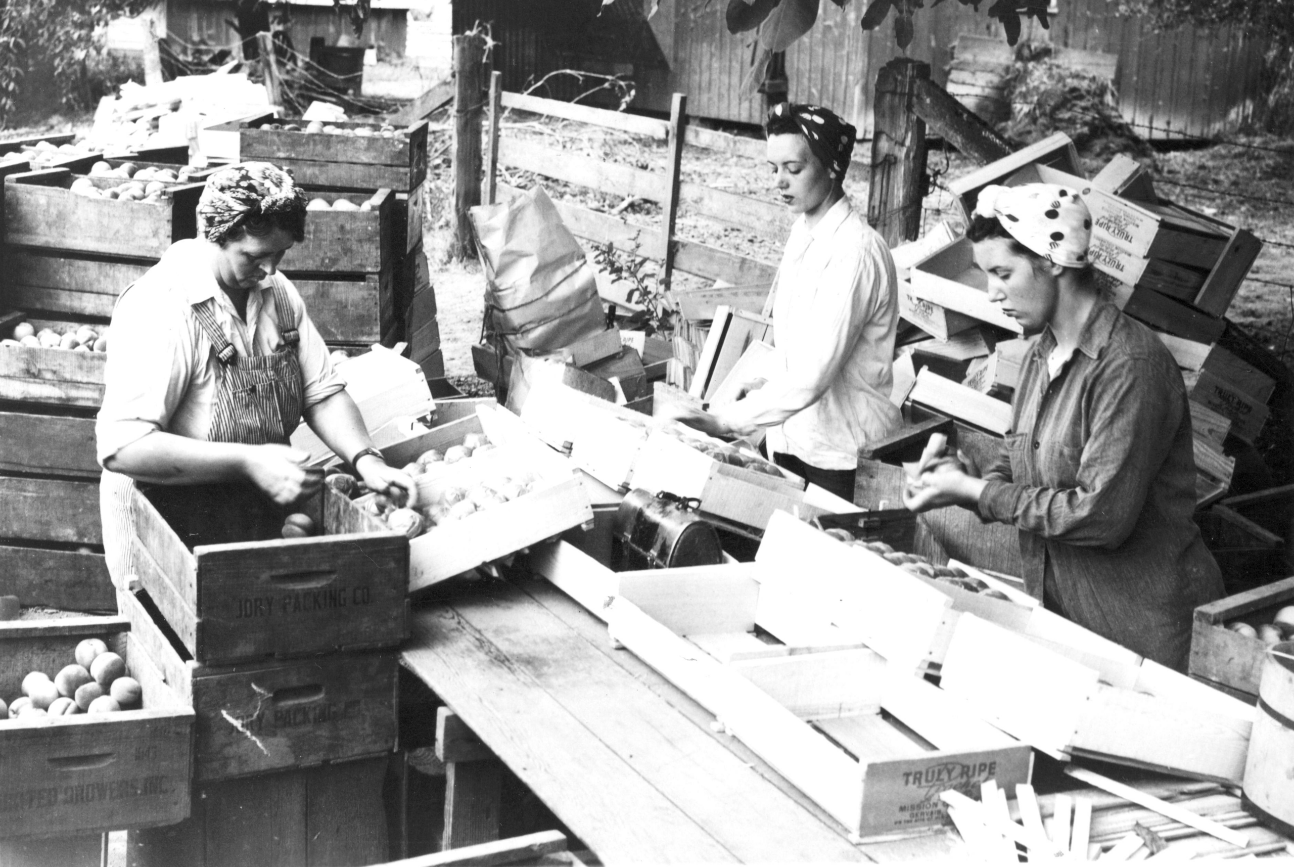 Cannery