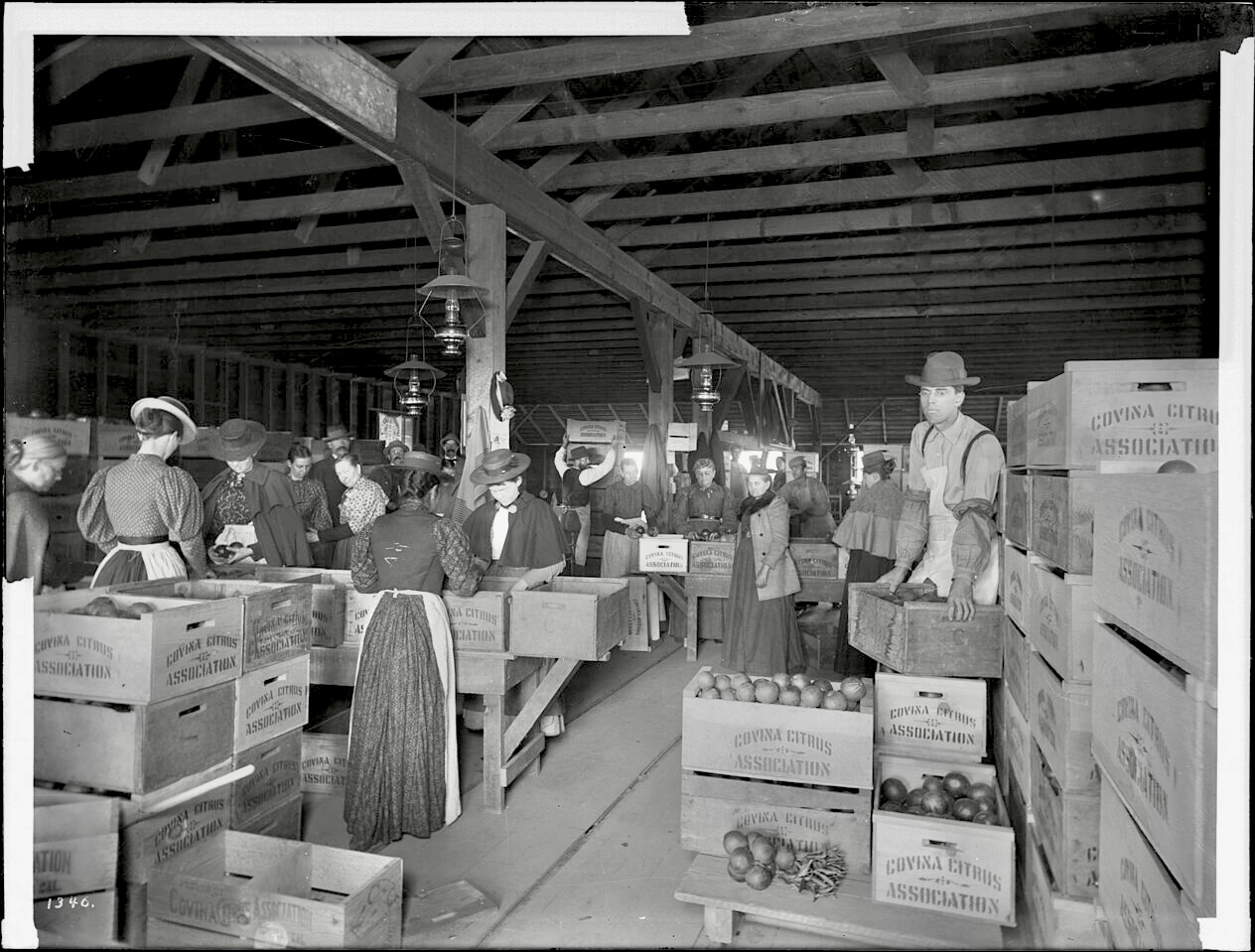 Cannery