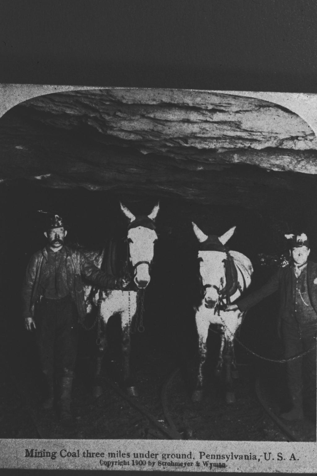 Coal Mine