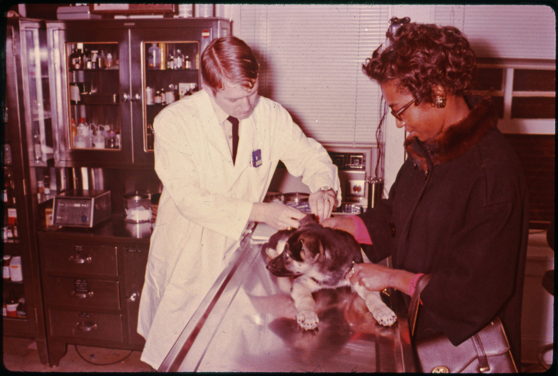 Veterinary