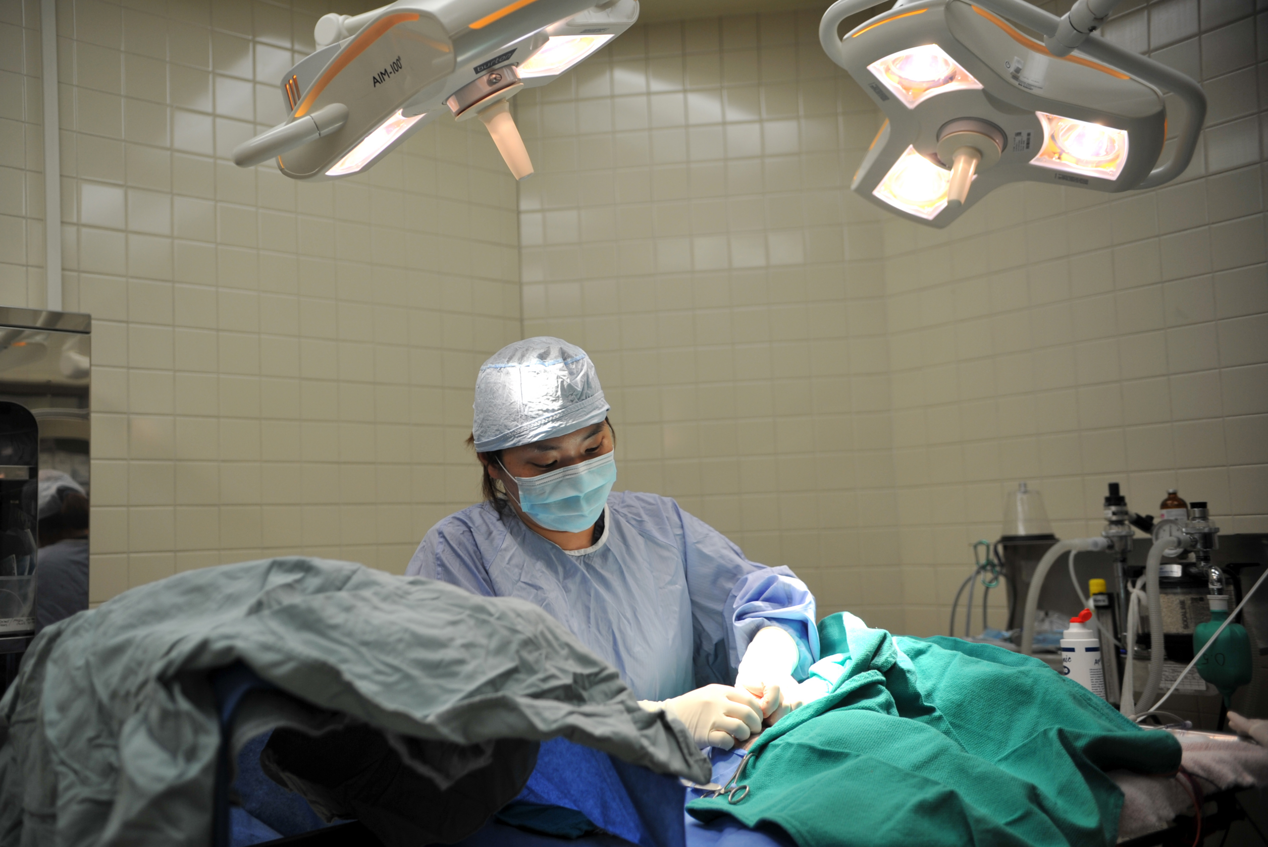 Veterinary