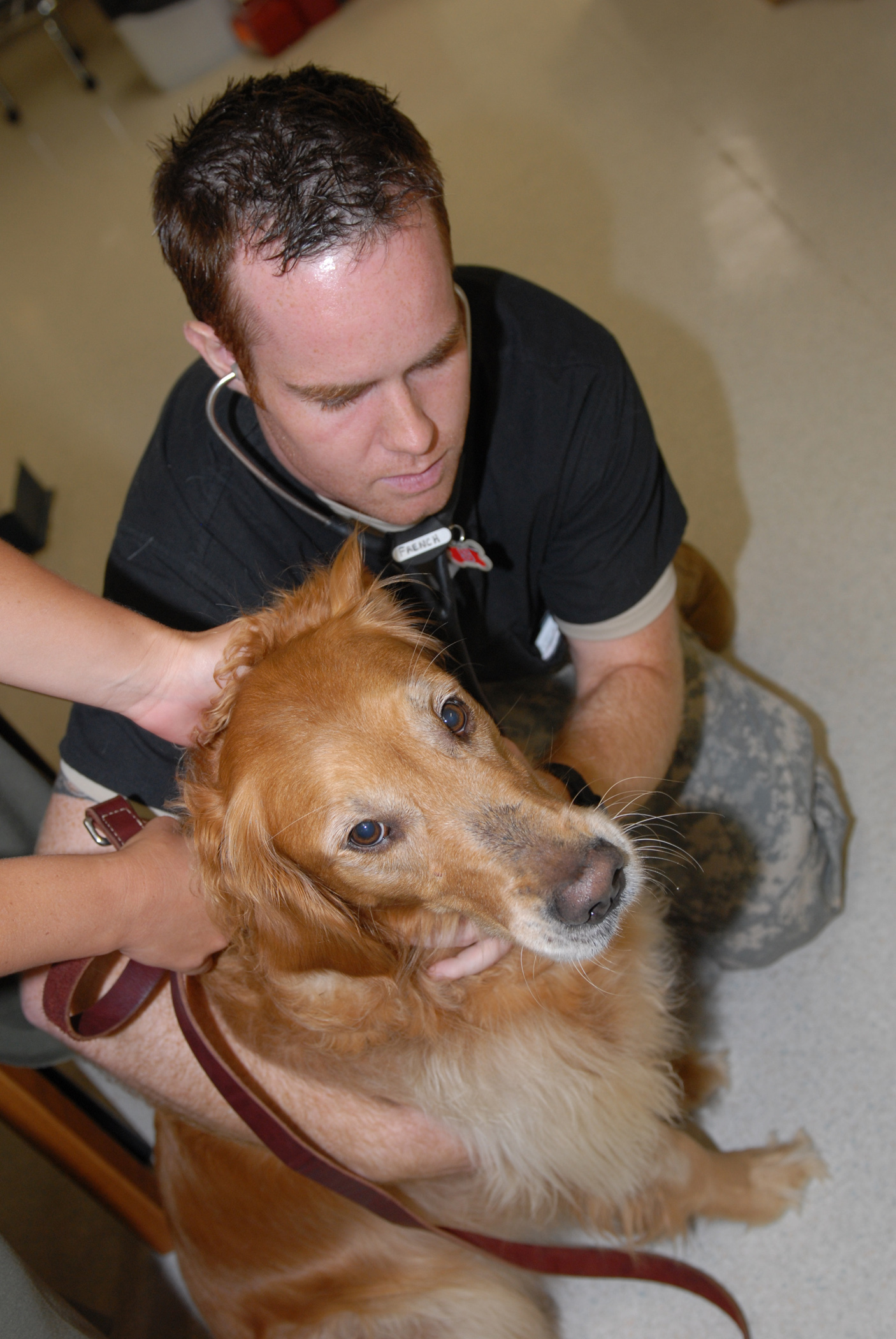 Veterinary