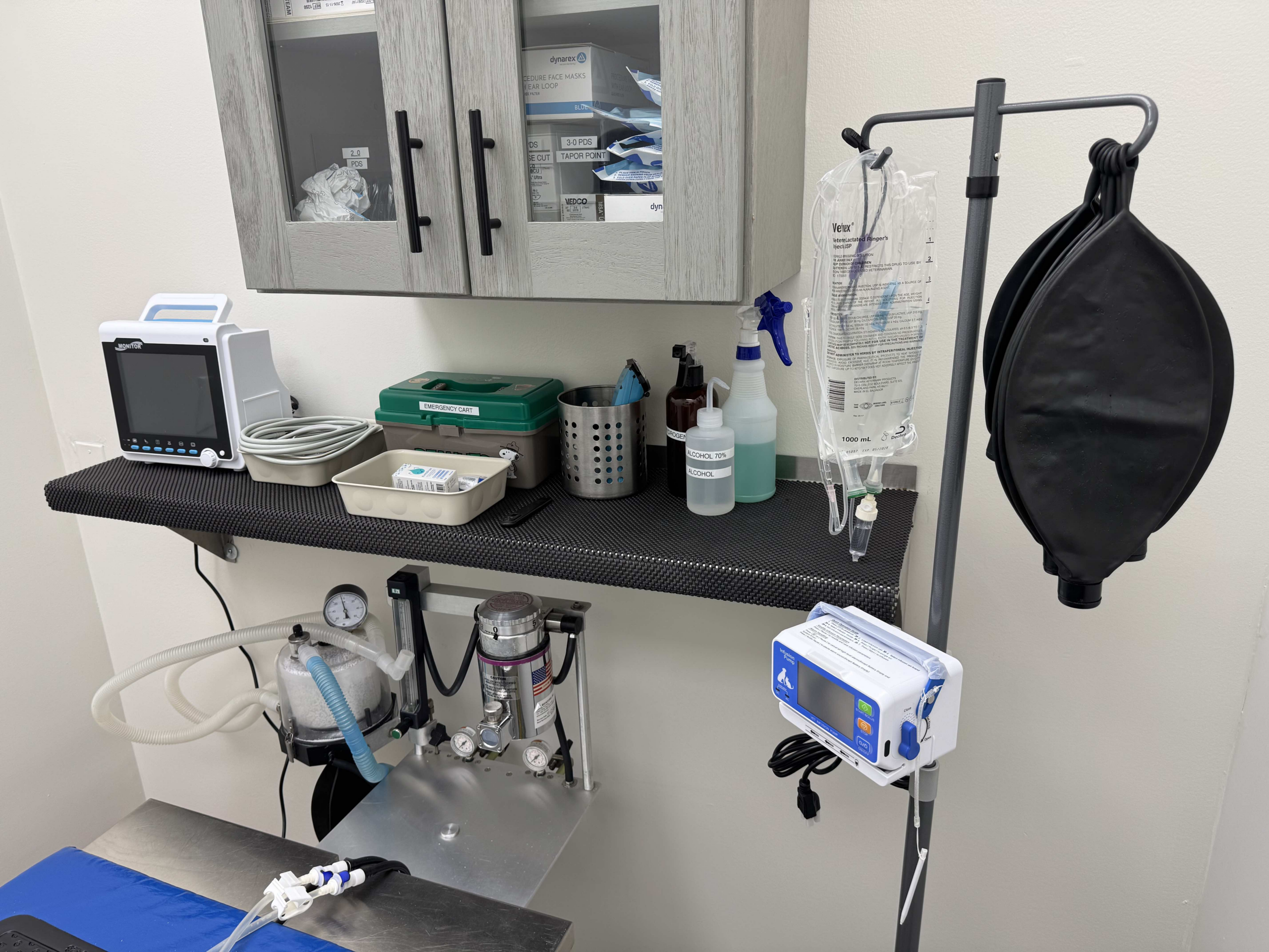 Veterinary
