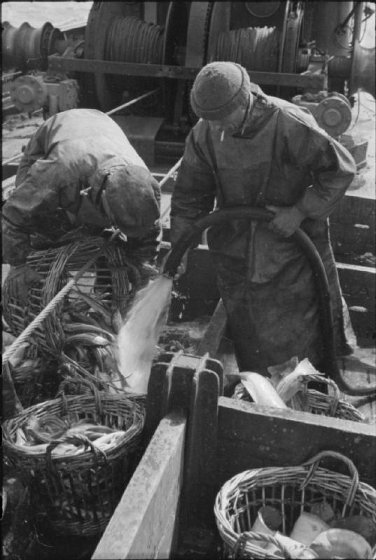 Fishing Boat