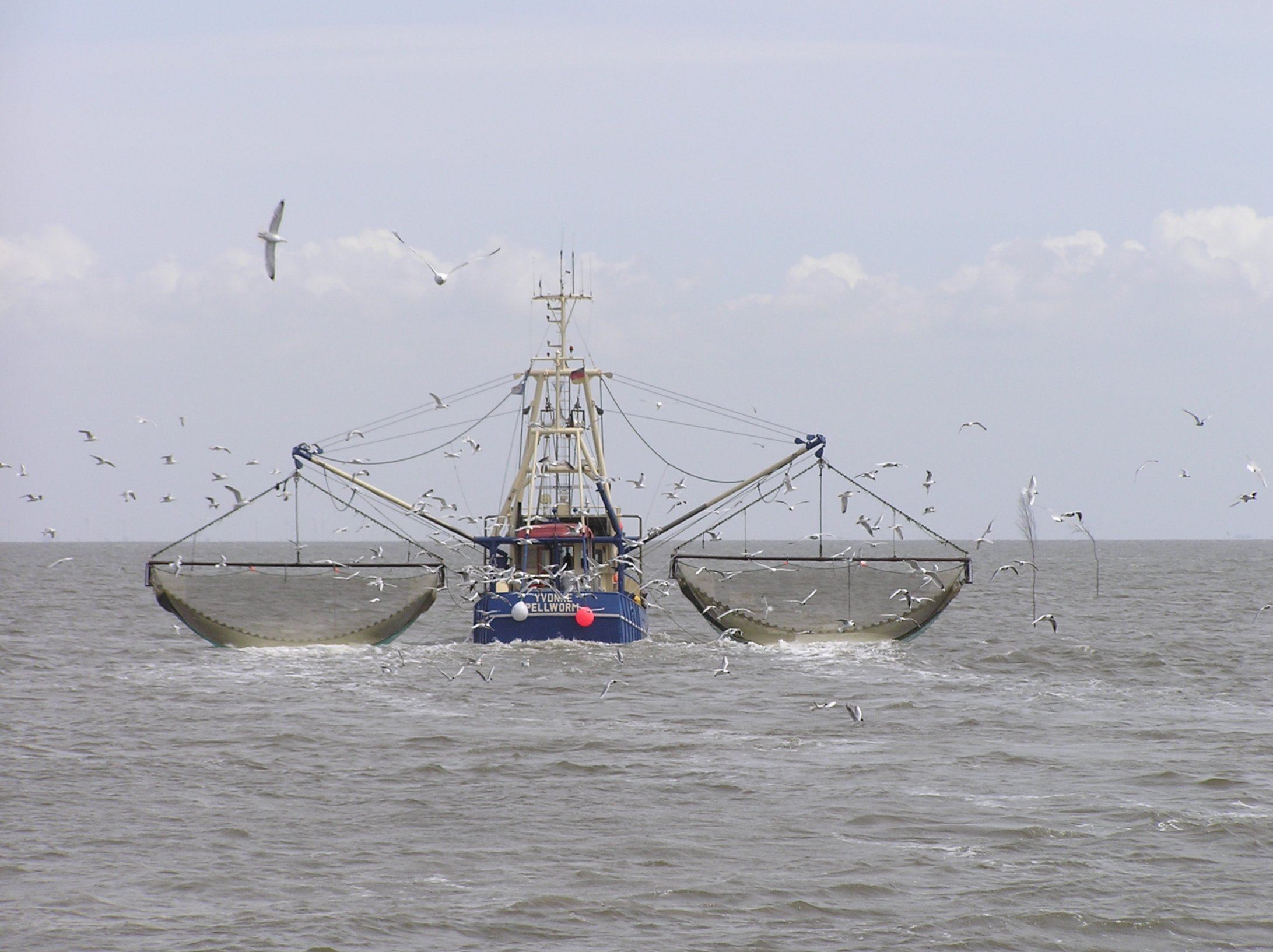 Fishing Boat